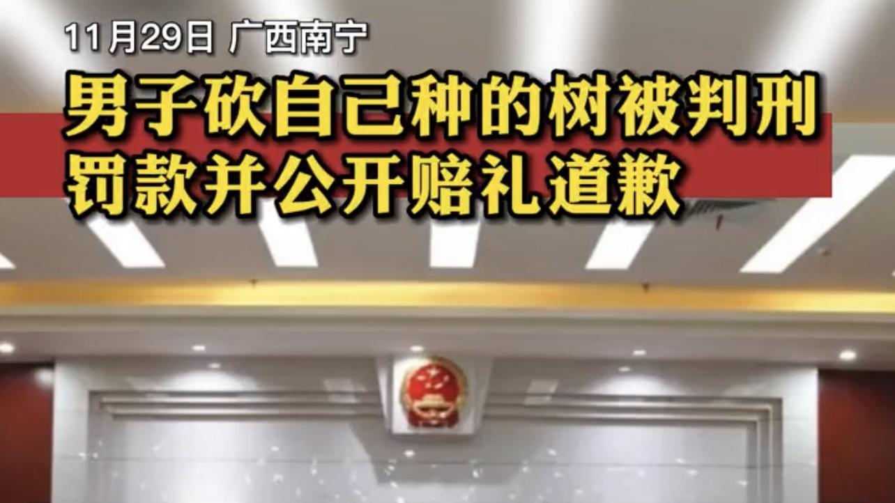 广西南宁，一男子因砍伐自家树木被判刑两年半