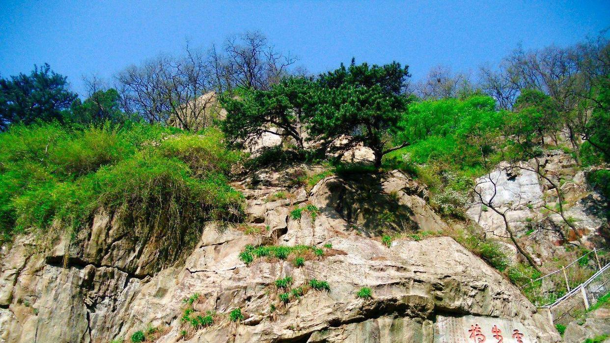 宝鸡|美国游客拍下山东“泰山”照片！引起热议：这简直是大自然的馈赠