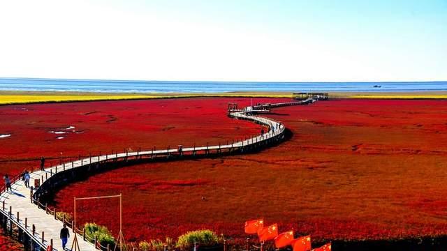 红海滩|国庆假期去哪玩？来东北赏红叶，看红海滩