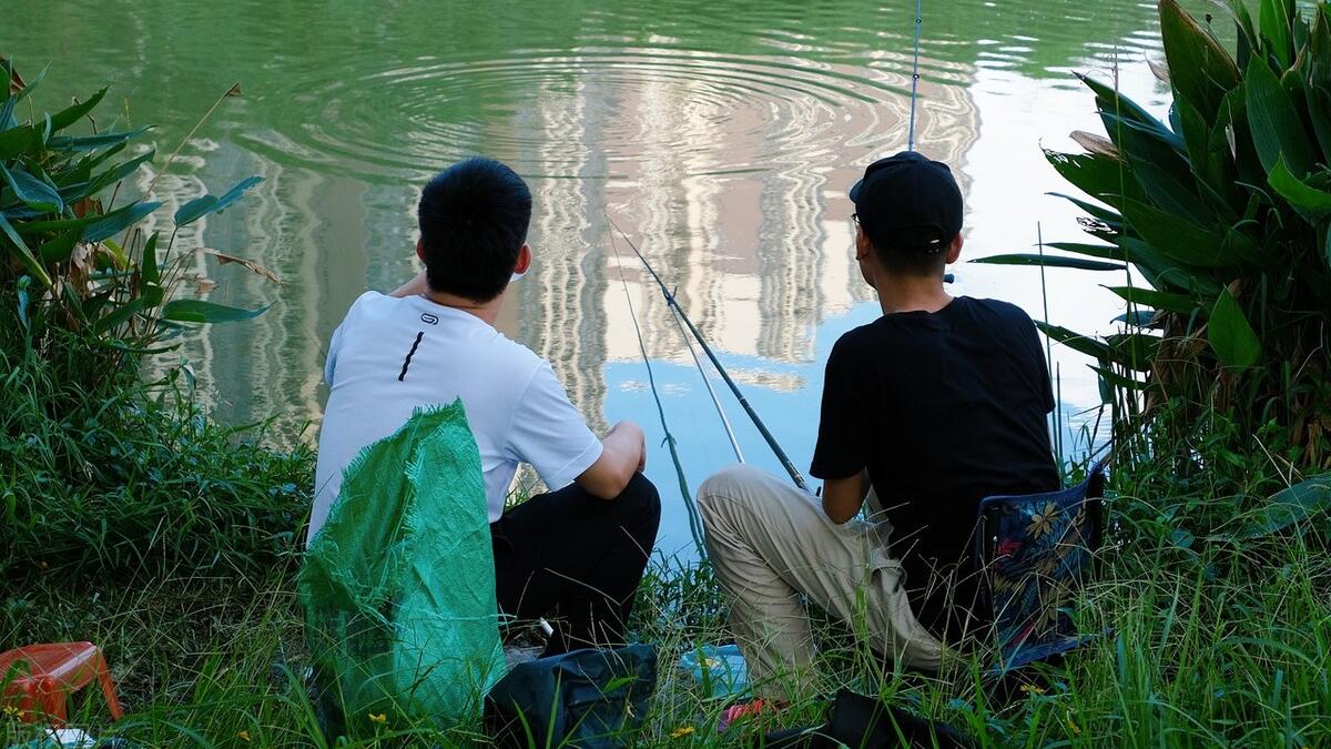 |钓鱼初学者需要掌握哪些基本知识？