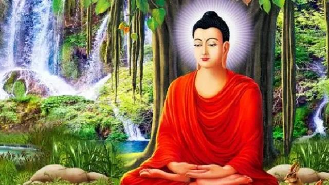 猴子和大象如何才能获得快乐？