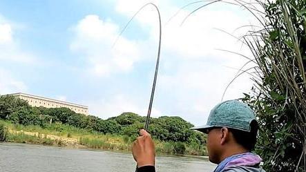 饵料|我们经常钓的鱼都躲在哪一种水层？钓这些鱼用什么饵料最好？