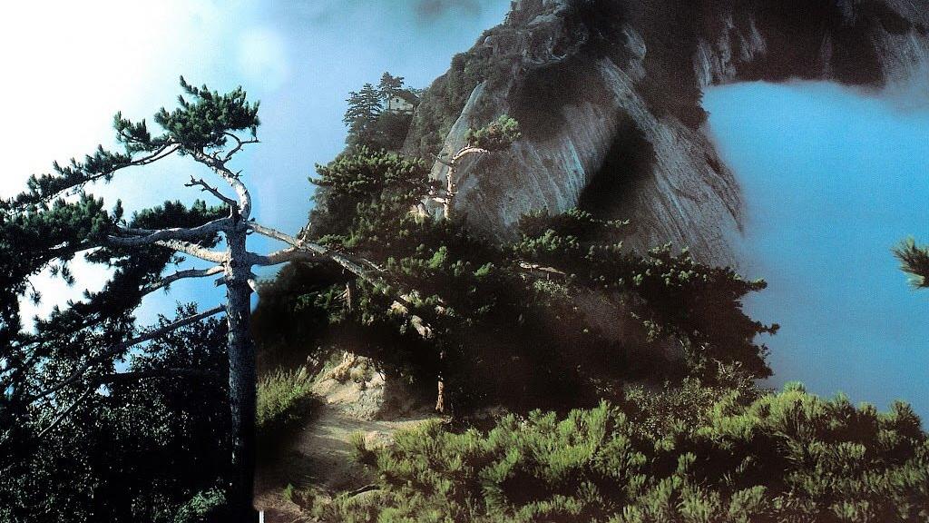 |职场中，如何成为领导的左膀右臂？