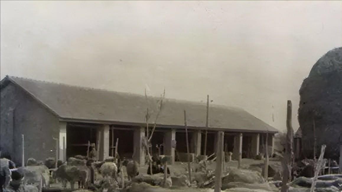 心中有怨恨竟拿耕牛撒气，1975年成都天回公社耕牛死亡案侦破始末