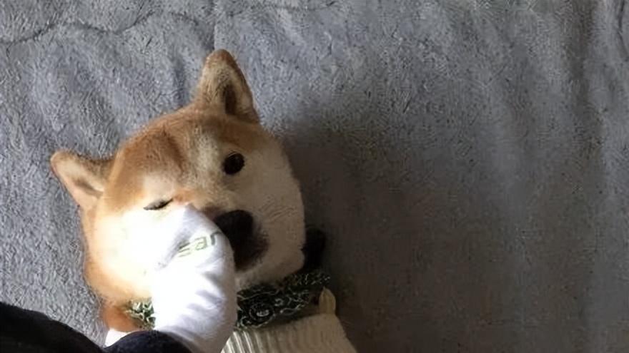 大学|理工男怎么就被嫌弃了？我这是尊重我的职业！