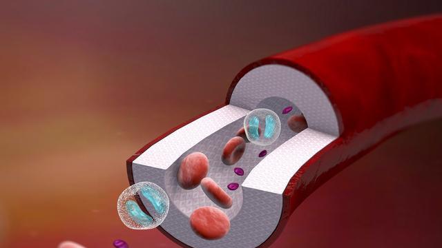 线粒体功能障碍引起糖尿病等多种疾病，运动可以优化线粒体功能