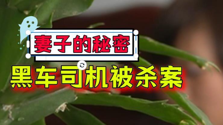 2012年，四川黑车司机被杀案：情人！杀手！妻子的秘密藏真相