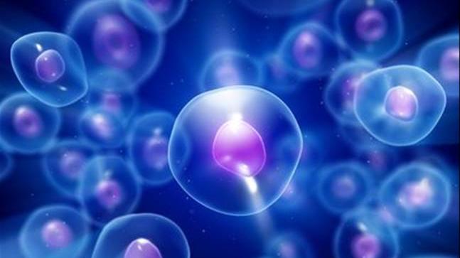 十万年的进化，人类免疫系统已达巅峰，却仍需面对这些考验