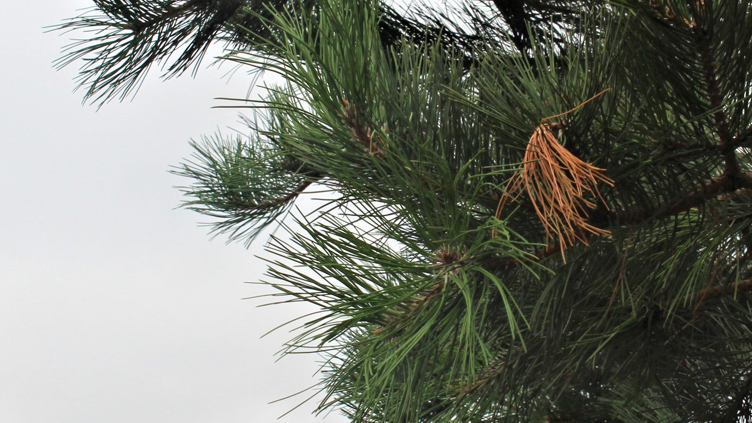 |先建立关系，再来谈职场协作