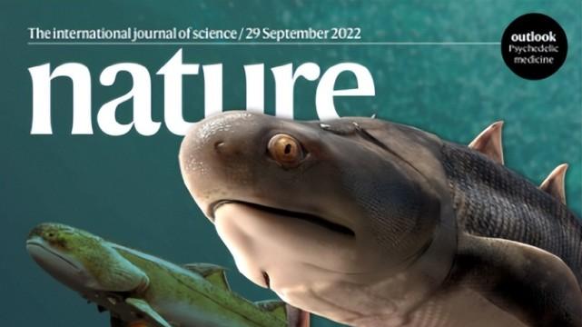 “人类从鱼进化而来”被证实后，我们吃鱼，是在吃自己的祖先？