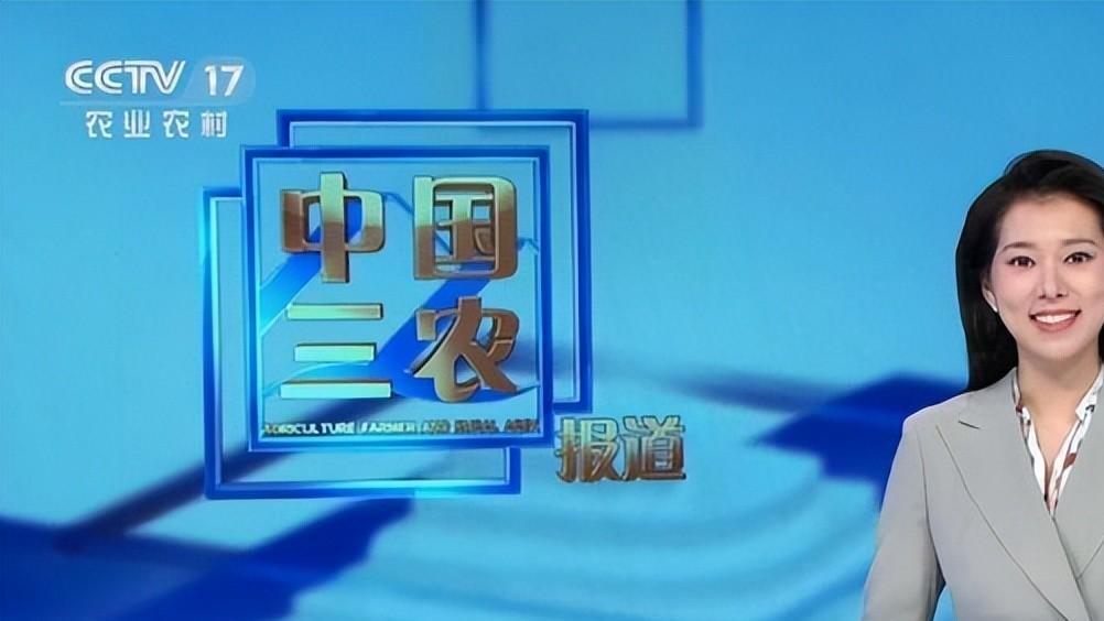 央视|孟语凡与田靖华入职央视，成为央视夫妻档主持，未来可期