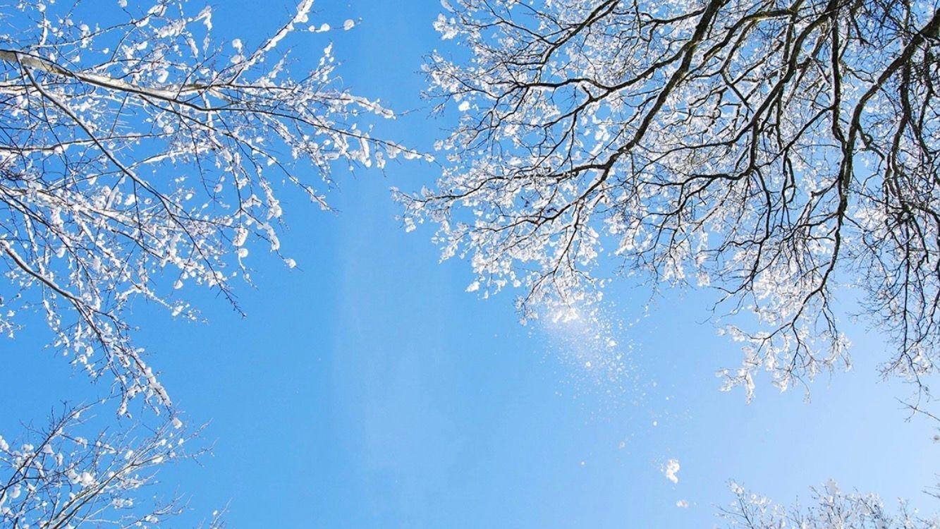 程序员|糟糕的程序员比优秀的程序员差在哪里？