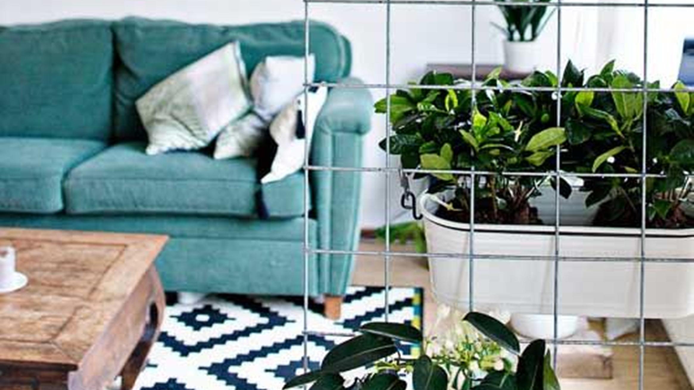 只需一张金属网，阳台从墙面装到天花板，没有院子照样“花团锦簇”