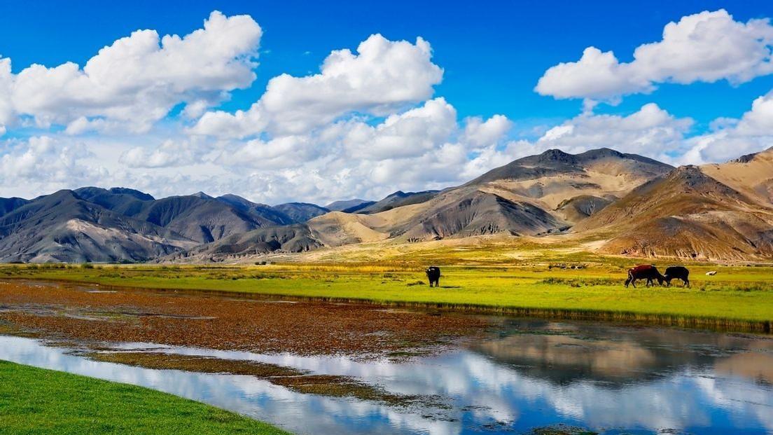 西藏|藏族人民苦不堪言，希望游客不要再去西藏，究竟发生了什么事情？