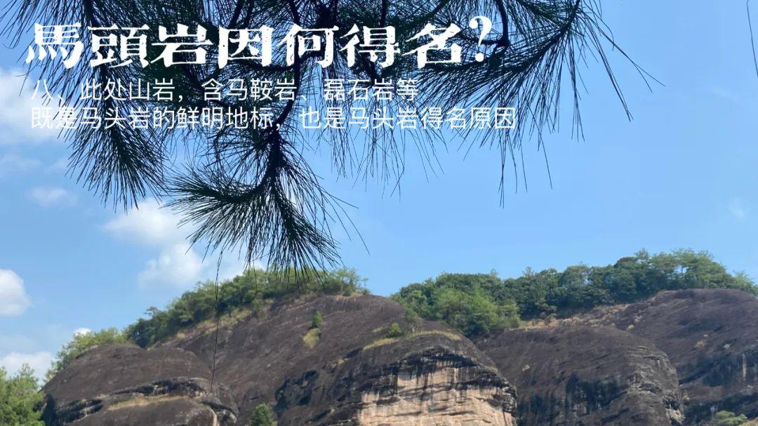 旅游业|岩茶里，大名鼎鼎的马头岩，到底是因何而得名？实拍图拿给你看