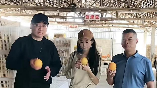 许敏|云昊、妮妮成立“吉祥三宝”，制裁田家三姐弟？许敏陷入两难境地