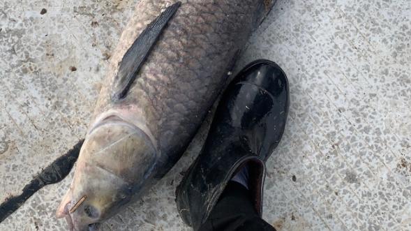 |针对新手，钓鱼要注意什么？不是从宇宙大爆炸开始讲起的（一）