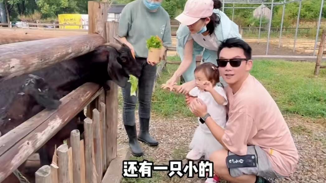 郑恺|苗苗携一家农场游玩，郑恺紧抱女儿满脸宠溺，2岁Ana颜值高神似爸