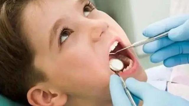 牙齿内心里的宝——牙髓干细胞