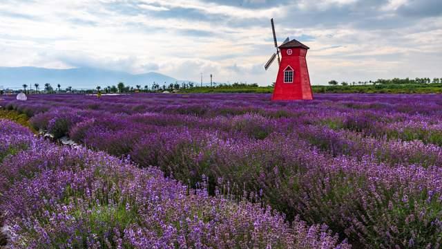 鞍山|有一种职场智慧，叫：保持沉默