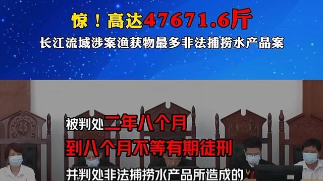 捕鱼4.8万斤被罚超千万，岳阳这伙电鱼人栽了！网友：极度舒适