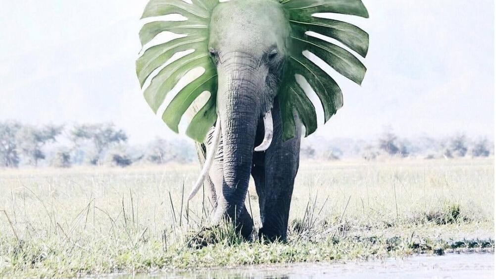 |职场上，做到了这点，领导主动给你加薪！！！