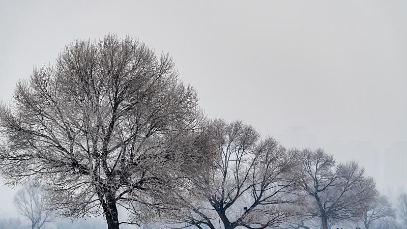 |三个让你受同事欢迎、受领导喜爱、升职加薪的职场黄金法则！