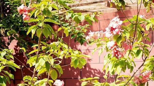 万茜|有被治愈到！马思纯回复抑郁网友的话好认真，除了恋爱脑属实完美