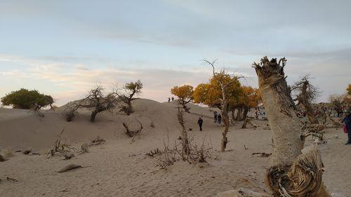 固镇|又到国庆，曾经的招聘旺季热闹非凡，如今的职位枯萎一片死寂