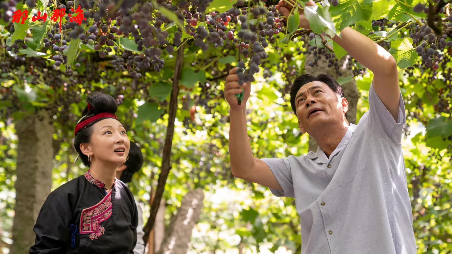 |央视电视剧《那山那海》第28集大结局被安排在下周播出