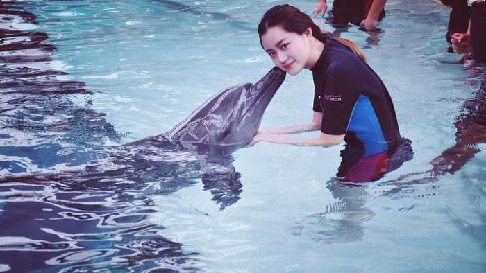 海豚为何如此亲近人类？看看你在海豚眼中长什么样，就不难理解了