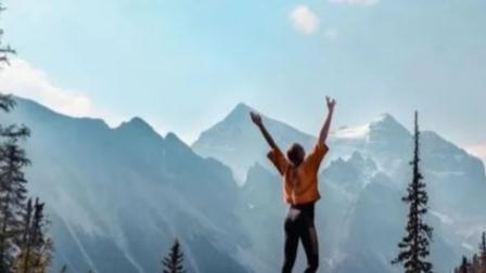 运势|生肖猪人，想要重新找工作，看明年是否有机会就业？