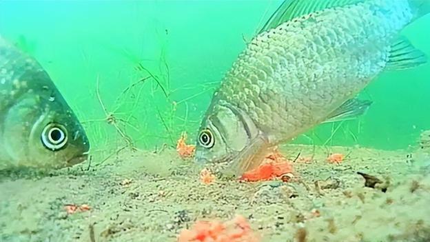 |能否爆钓决定因素在于水层温差，钓鱼首先看天气的目的—估算水层