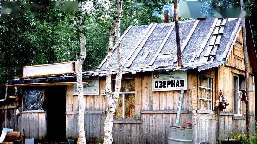 俄罗斯人|俄罗斯森林中有很多小木屋，但为什么都说不要轻易进去？