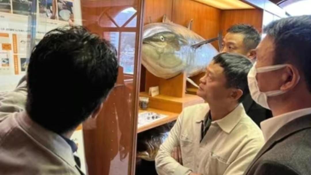 马云|马云，另有所图