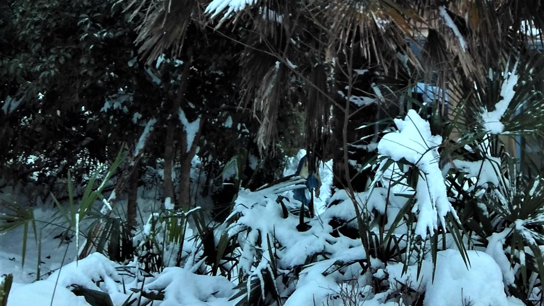 北京市|职场自信，从来不是靠别人的肯定