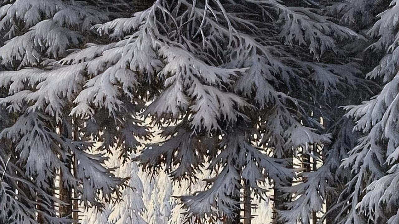 美丽|高山风景，用画笔见证美丽的雪景︱卡尔·豪普特曼