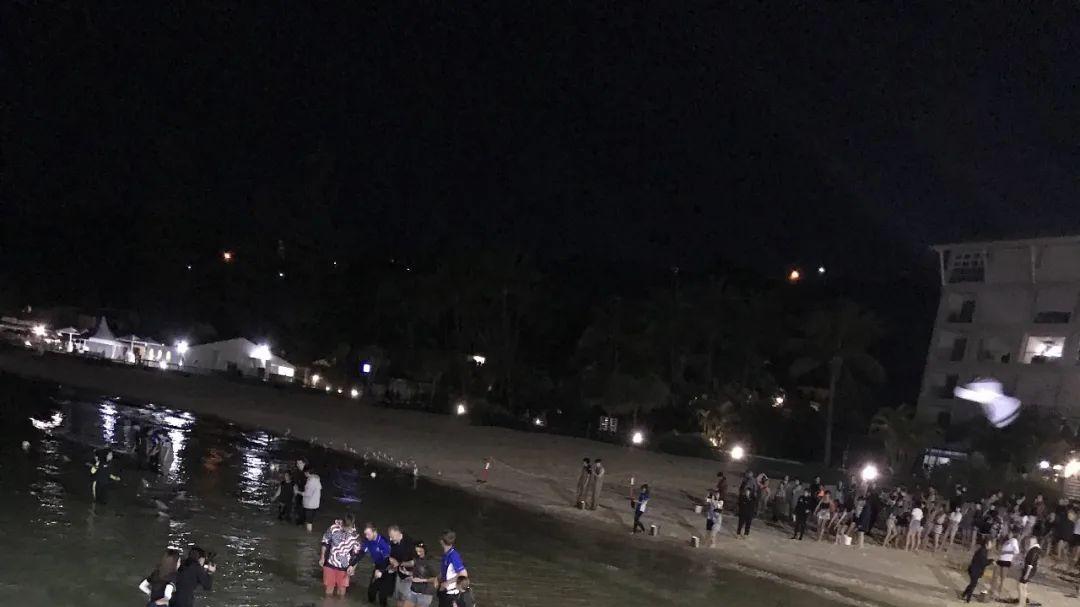 海豚|今天，遥望远方……