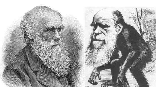 科学家发现“从鱼到人”进化证据，网友疑惑：不是古猿进化的吗？
