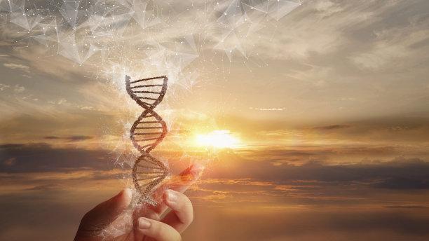 生物技术专业学什么比较好？