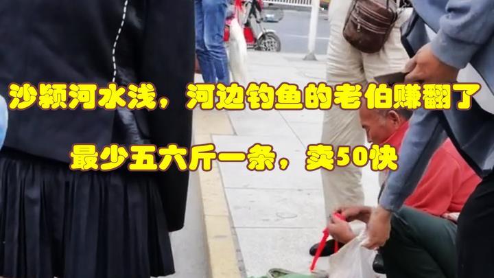 沙颍河|河南沙颍河：水浅大鱼出，有人一天钓几十斤，并当街卖鱼50一条
