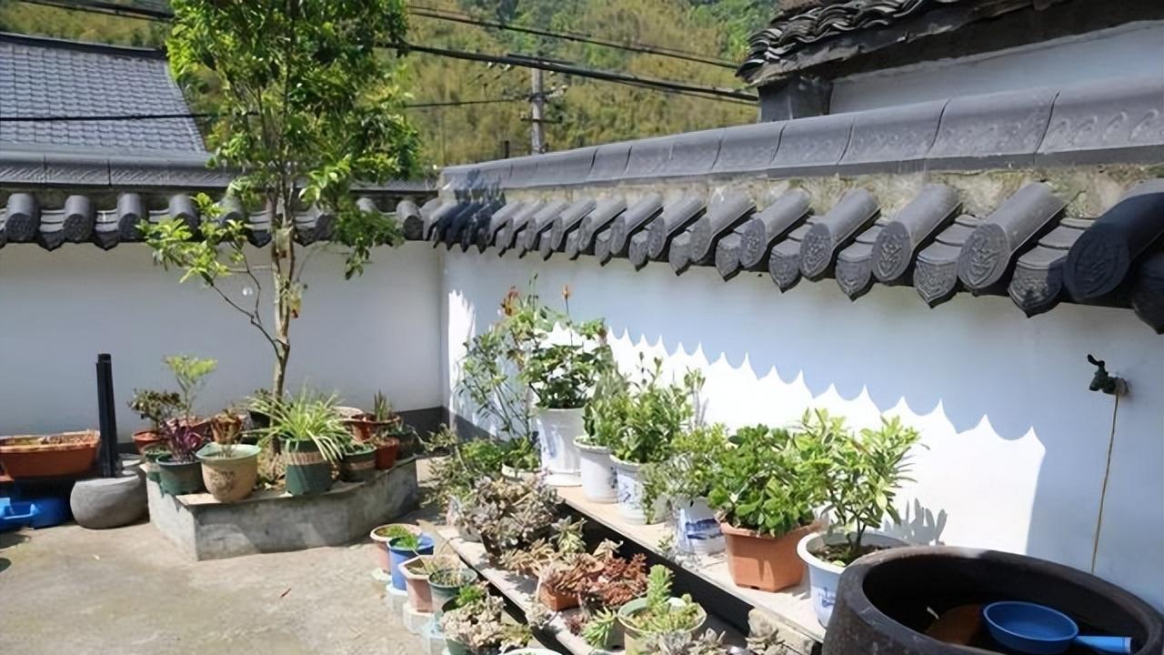 一个真正的院子，要具备这5种功能，才会实用，家人们都会喜欢