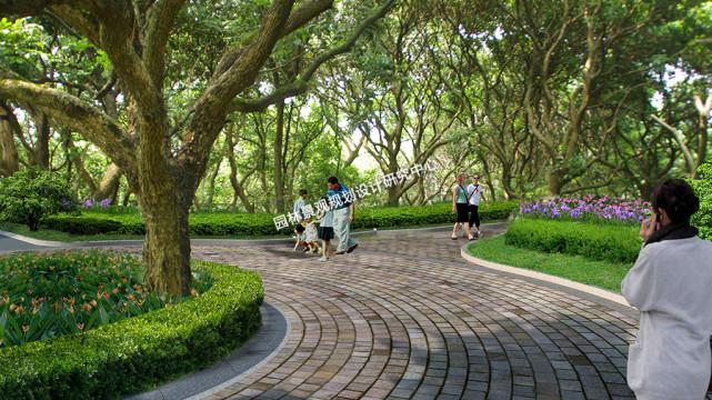 浅谈乡村景观规划设计的3点意义