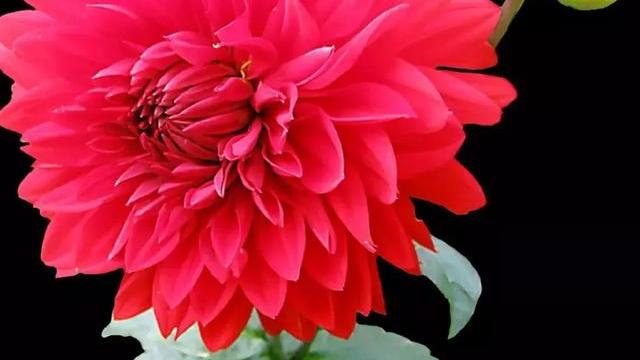 日常生活中怎么样能够最省钱，有什么绝招吗？