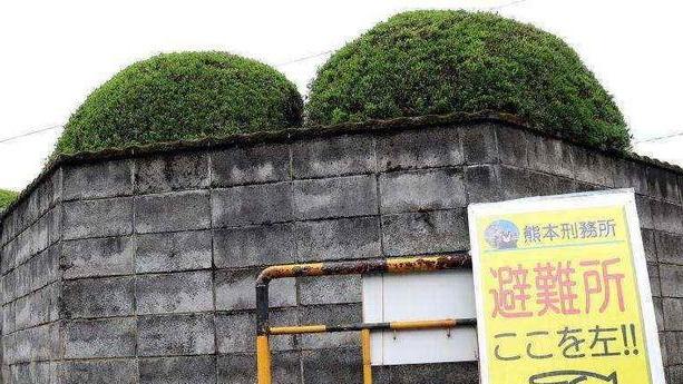 为啥日本房子都不铺瓷砖？内行人道真相，了解后才知其精明之处