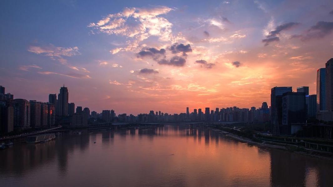 医生|但凡在国企少吃点亏都明白不了！