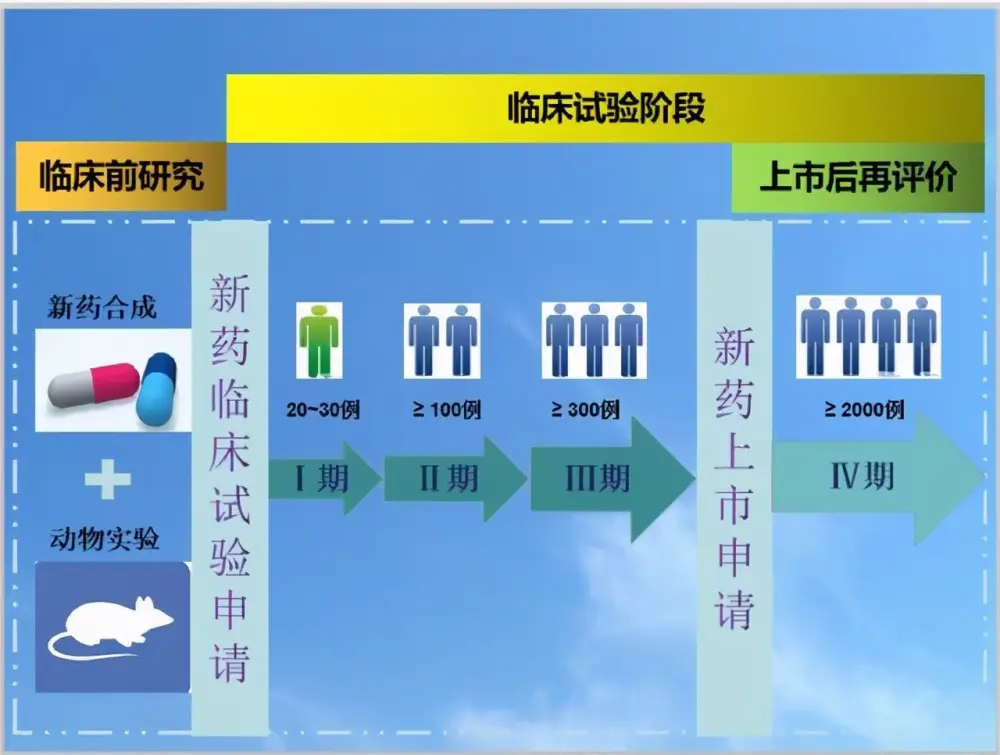 乙肝在研新药Bepirovirsen，开发PK/PD模型，提供3期决策有用工具