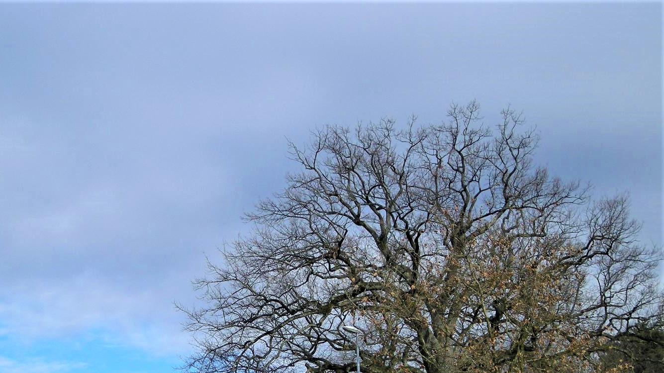 |干一行爱一行，可能吗？