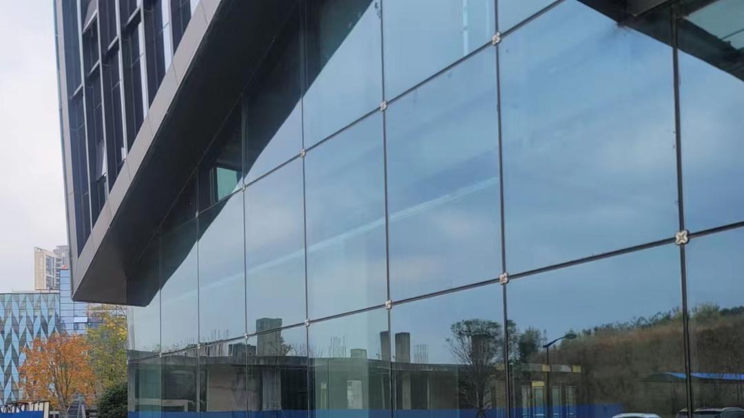贵阳一高层建筑楼下接连发现几十只鸟儿尸体