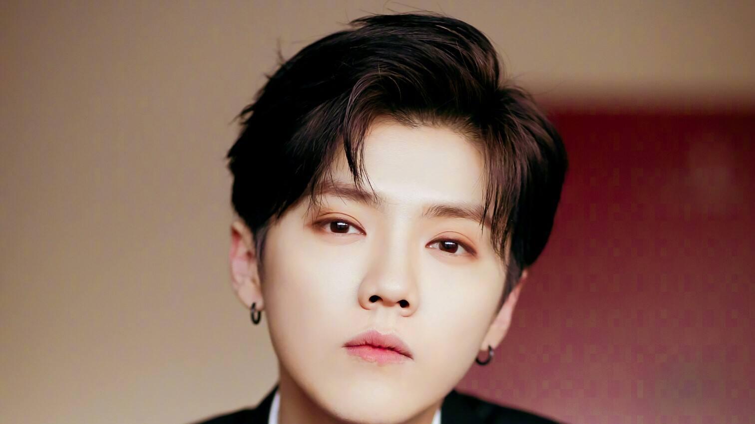 鹿晗|鹿晗在巅峰时期有多火？